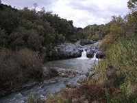cantara gurne23122011 071